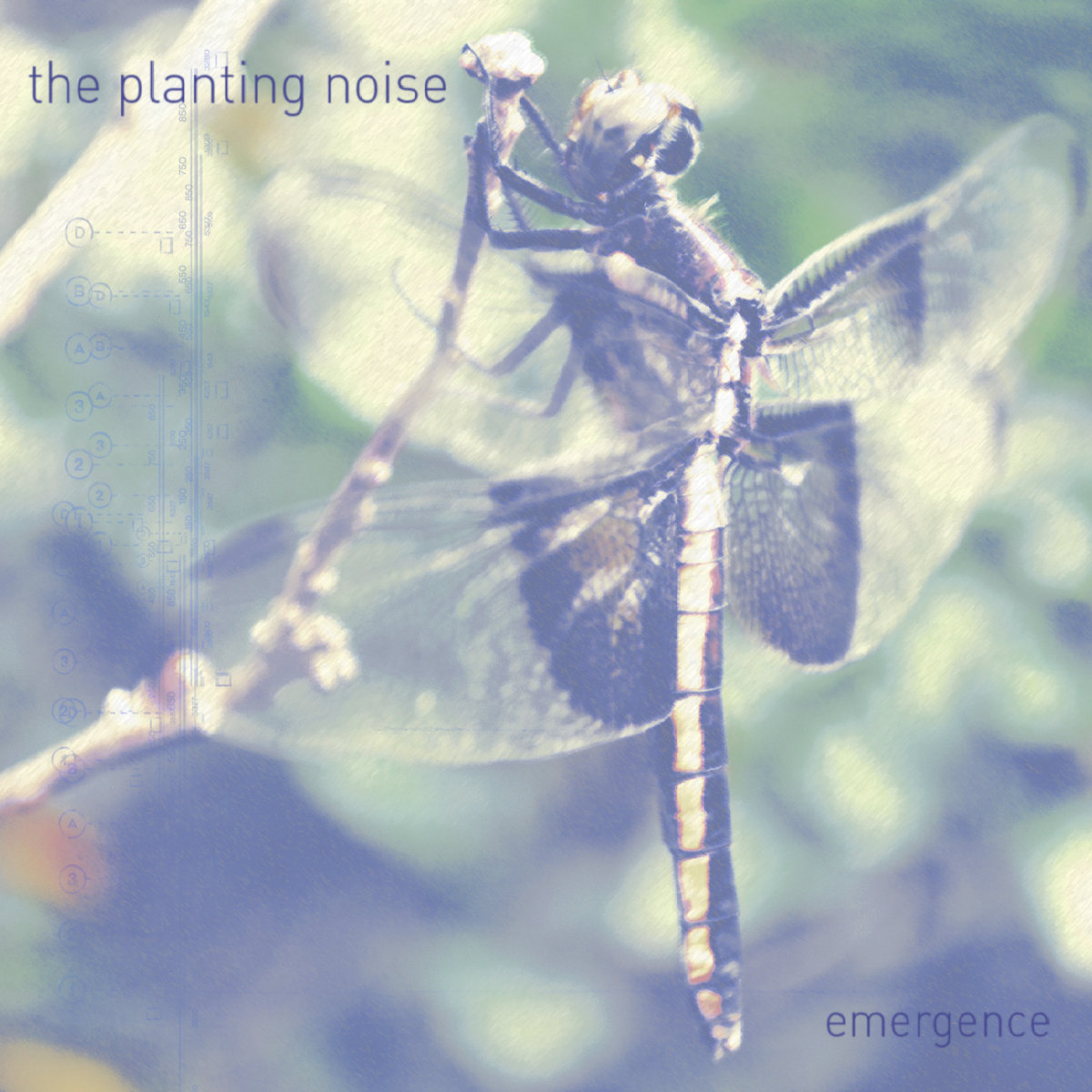 The Planting Noise — Emergence
